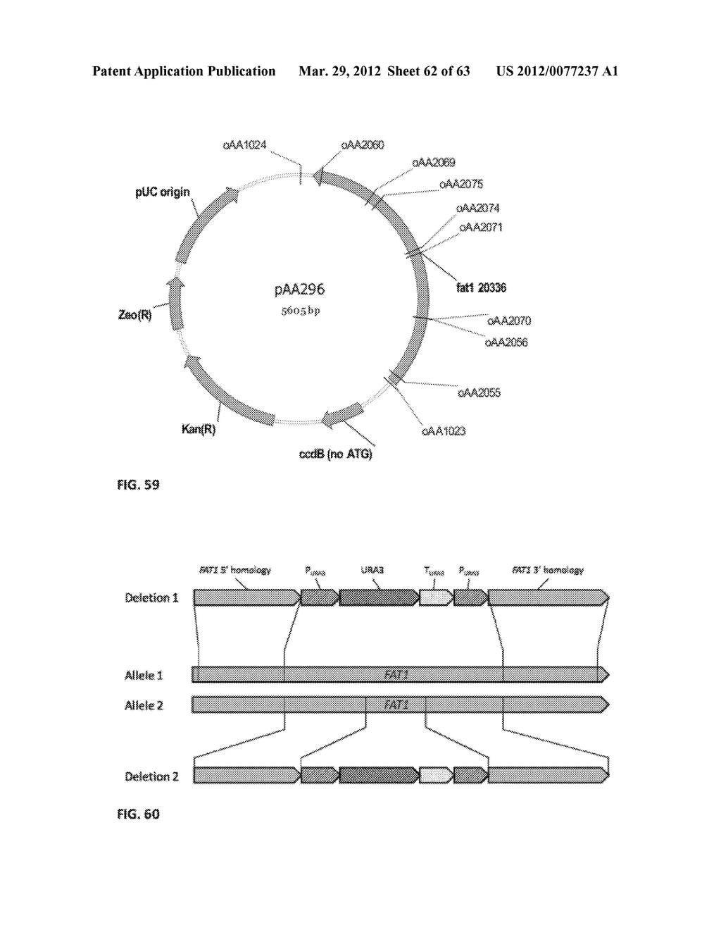 BIOLOGICAL METHODS FOR PREPARING ADIPIC ACID - diagram, schematic, and image 63