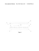 Methods and Devices for Capturing Circulating Tumor Cells diagram and image