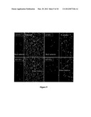 Methods and Devices for Capturing Circulating Tumor Cells diagram and image