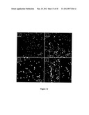 Methods and Devices for Capturing Circulating Tumor Cells diagram and image