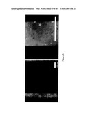 Methods and Devices for Capturing Circulating Tumor Cells diagram and image