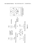 Methods and Devices for Capturing Circulating Tumor Cells diagram and image