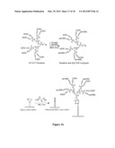 Methods and Devices for Capturing Circulating Tumor Cells diagram and image