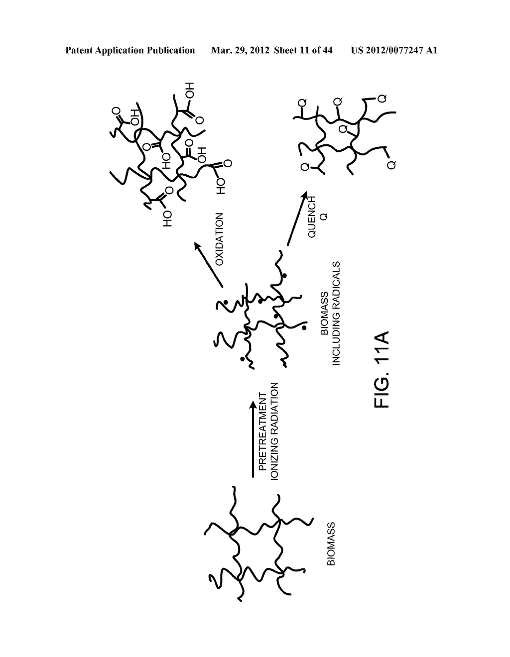 PROCESSING BIOMASS - diagram, schematic, and image 12