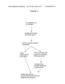 BIOLOGICAL METHODS FOR PREPARING ADIPIC ACID diagram and image