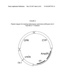 BIOLOGICAL METHODS FOR PREPARING ADIPIC ACID diagram and image