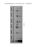 BIOLOGICAL METHODS FOR PREPARING ADIPIC ACID diagram and image