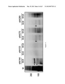 BIOLOGICAL METHODS FOR PREPARING ADIPIC ACID diagram and image