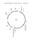 BIOLOGICAL METHODS FOR PREPARING ADIPIC ACID diagram and image