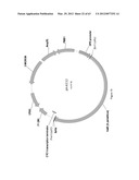 BIOLOGICAL METHODS FOR PREPARING ADIPIC ACID diagram and image