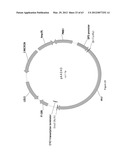 BIOLOGICAL METHODS FOR PREPARING ADIPIC ACID diagram and image