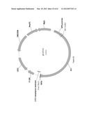 BIOLOGICAL METHODS FOR PREPARING ADIPIC ACID diagram and image