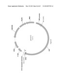 BIOLOGICAL METHODS FOR PREPARING ADIPIC ACID diagram and image