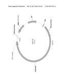 BIOLOGICAL METHODS FOR PREPARING ADIPIC ACID diagram and image