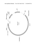 BIOLOGICAL METHODS FOR PREPARING ADIPIC ACID diagram and image