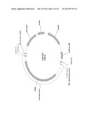 BIOLOGICAL METHODS FOR PREPARING ADIPIC ACID diagram and image