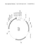 BIOLOGICAL METHODS FOR PREPARING ADIPIC ACID diagram and image