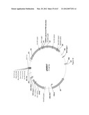 BIOLOGICAL METHODS FOR PREPARING ADIPIC ACID diagram and image