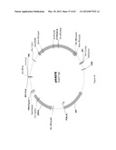 BIOLOGICAL METHODS FOR PREPARING ADIPIC ACID diagram and image