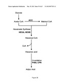 BIOLOGICAL METHODS FOR PREPARING ADIPIC ACID diagram and image