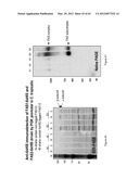 BIOLOGICAL METHODS FOR PREPARING ADIPIC ACID diagram and image