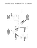 BIOLOGICAL METHODS FOR PREPARING ADIPIC ACID diagram and image