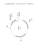 BIOLOGICAL METHODS FOR PREPARING ADIPIC ACID diagram and image