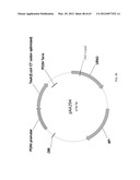 BIOLOGICAL METHODS FOR PREPARING ADIPIC ACID diagram and image