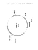 BIOLOGICAL METHODS FOR PREPARING ADIPIC ACID diagram and image