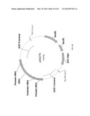 BIOLOGICAL METHODS FOR PREPARING ADIPIC ACID diagram and image