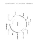 BIOLOGICAL METHODS FOR PREPARING ADIPIC ACID diagram and image