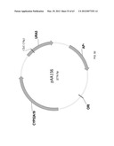 BIOLOGICAL METHODS FOR PREPARING ADIPIC ACID diagram and image