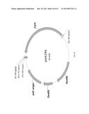 BIOLOGICAL METHODS FOR PREPARING ADIPIC ACID diagram and image