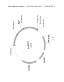 BIOLOGICAL METHODS FOR PREPARING ADIPIC ACID diagram and image