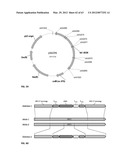 BIOLOGICAL METHODS FOR PREPARING ADIPIC ACID diagram and image