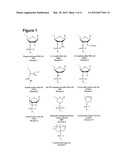 MicroRNA and Methods for Inhibiting Same diagram and image