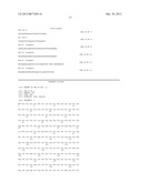 USE OF A PROTEIN IN STEM CELL AND CANCER APPLICATIONS diagram and image