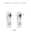 METHOD AND APPARATUS FOR FRAGMENTING NUCLEIC ACIDS diagram and image