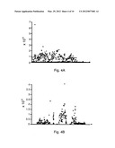 MIXED LIBRARY PARALLEL GENE MAPPING QUANTITATIVE MICRO-ARRAY TECHNIQUE FOR     GENOME-WIDE IDENTIFICATION OF TRAIT CONFERRING GENES diagram and image