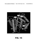 COMPOSITIONS AND METHODS FOR DETECTING CANCER METASTASIS diagram and image