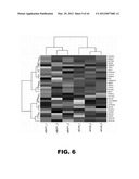 COMPOSITIONS AND METHODS FOR DETECTING CANCER METASTASIS diagram and image