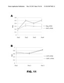 COMPOSITIONS AND METHODS FOR DETECTING CANCER METASTASIS diagram and image