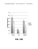 COMPOSITIONS AND METHODS FOR DETECTING CANCER METASTASIS diagram and image