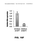 COMPOSITIONS AND METHODS FOR DETECTING CANCER METASTASIS diagram and image