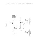 MULTIPLEX Q-PCR ARRAYS diagram and image