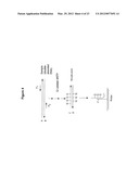 MULTIPLEX Q-PCR ARRAYS diagram and image