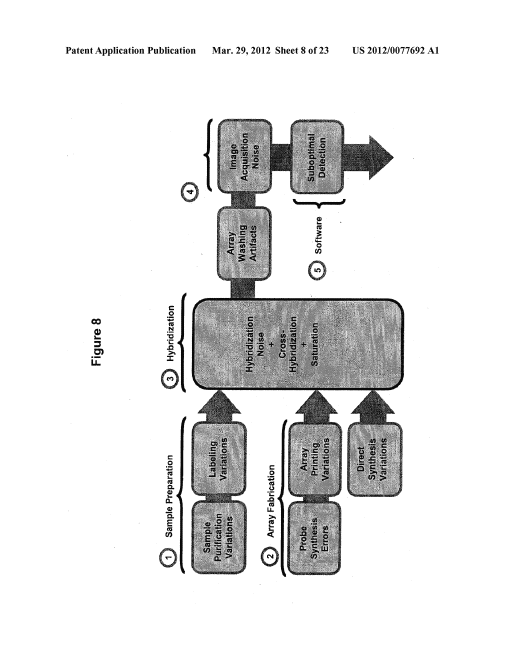 MULTIPLEX Q-PCR ARRAYS - diagram, schematic, and image 09