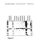 AMINO ACID SEQUENCES DIRECTED AGAINST IL-6R AND POLYPEPTIDES COMPRISING     THE SAME FOR THE TREATMENT OF IL-6R RELATED DISEASES AND DISORDERS diagram and image