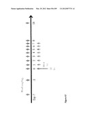 AMINO ACID SEQUENCES DIRECTED AGAINST IL-6R AND POLYPEPTIDES COMPRISING     THE SAME FOR THE TREATMENT OF IL-6R RELATED DISEASES AND DISORDERS diagram and image