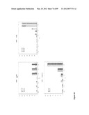 AMINO ACID SEQUENCES DIRECTED AGAINST IL-6R AND POLYPEPTIDES COMPRISING     THE SAME FOR THE TREATMENT OF IL-6R RELATED DISEASES AND DISORDERS diagram and image